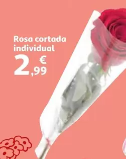 Oferta de Rosa Cortada Individual por 2,99€ en Alcampo