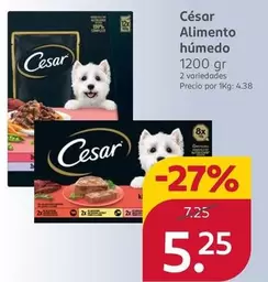 Oferta de Cesar - Alimento Húmedo por 5,25€ en Rossmann