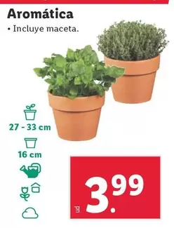 Oferta de Aromatica/ Incluye Maceta por 3,99€ en Lidl