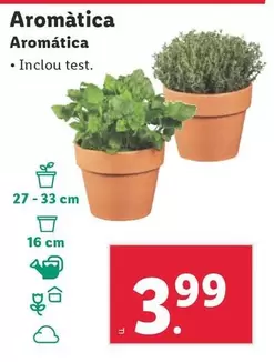 Oferta de Aromatica/ Inclou Test por 3,99€ en Lidl