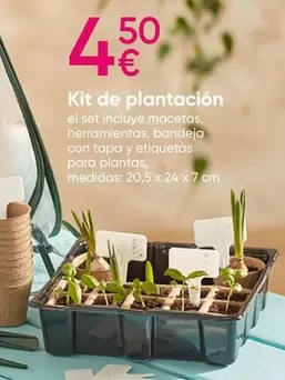 Oferta de Kit De Plantacion por 4,5€ en Pepco