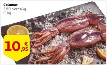 Oferta de Calamar por 10,95€ en Alcampo