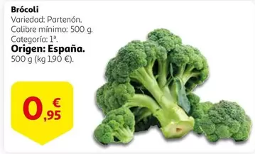 Oferta de Origen - Brócoli por 0,95€ en Alcampo