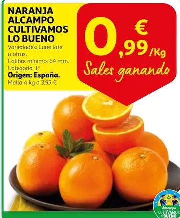 Oferta de Alcampo - Naranja Alcampo Cultivamos Lo Bueno por 0,99€ en Alcampo