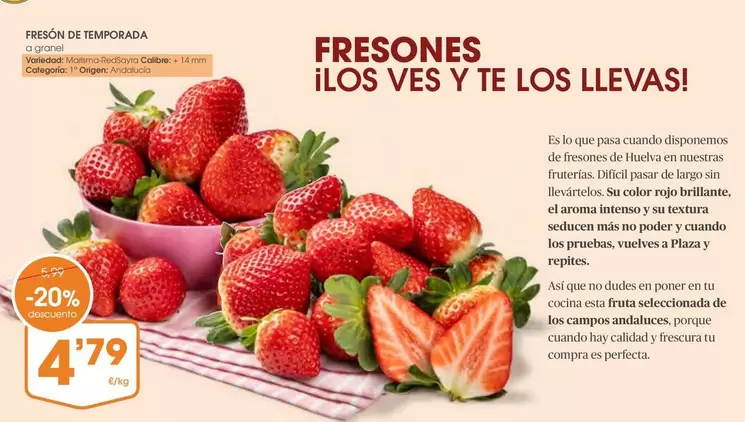 Oferta de Origen - Fresones en Supermercados Plaza