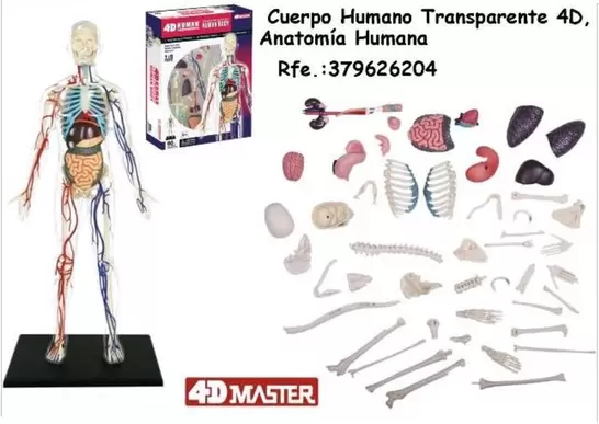 Oferta de Cuerpo Humano Transparente 4d, Anatomia Humana en Jugueterías Lifer