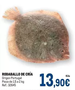 Oferta de Origen - Rodaballo De Cria por 13,9€ en Makro