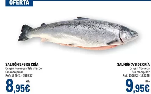 Oferta de Origen - Salmón 5/6 De Cría por 8,95€ en Makro