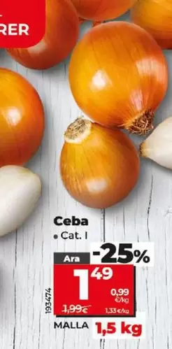 Oferta de Cebolla por 1,49€ en Dia