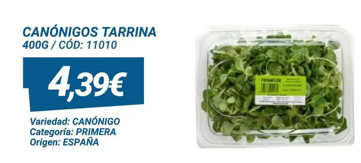 Oferta de Origen - Canónigos Tarrina por 4,39€ en Dialsur Cash & Carry