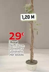 Oferta de Rosal por 29€ en GiFi