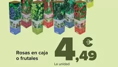 Oferta de Rosas En Caja O Frutales por 4,49€ en Carrefour