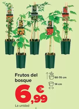 Oferta de Frutos Del Bosque por 6,99€ en Carrefour