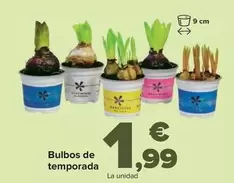 Oferta de Bulbos De Temporada por 1,99€ en Carrefour