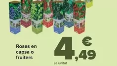 Oferta de Rosas En Caja O Frutales por 4,49€ en Carrefour