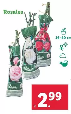 Oferta de Rosales por 2,99€ en Lidl