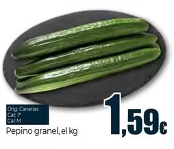 Oferta de Pepino Granel por 1,59€ en Unide Supermercados