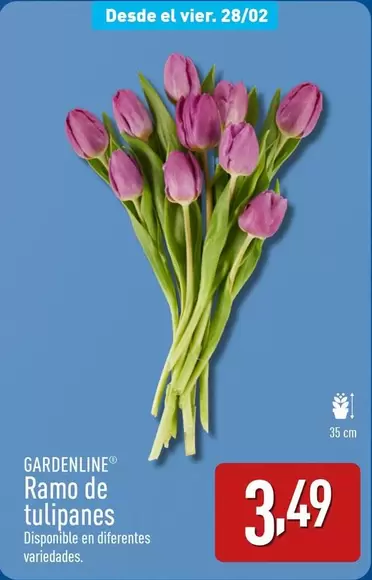 Oferta de Gardenline - Ramo De Tulipanes por 3,49€ en ALDI