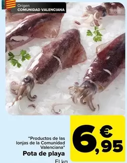 Oferta de Origen - Pota de playa por 6,95€ en Carrefour