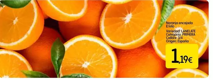 Oferta de Naranja Encajada por 1,19€ en Dialprix