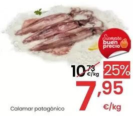 Oferta de Calamar Patagonico por 7,95€ en Eroski