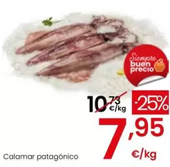 Oferta de Calamar Patagonico por 7,95€ en Eroski