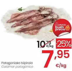 Oferta de Calamar Patagonico por 7,95€ en Eroski