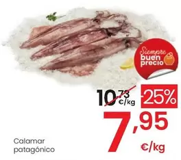 Oferta de Calamar Patagónico  por 7,95€ en Eroski