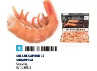 Oferta de Cola De Gambon C11 en Makro