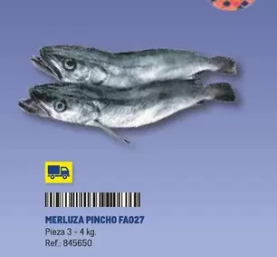 Oferta de Merluza Pincho Fa027 en Makro