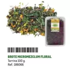 Oferta de Brote Micromezclum Floral en Makro