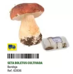 Oferta de Seta Boletus Cultivada en Makro