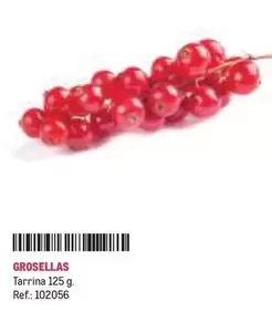 Oferta de Grosellas en Makro