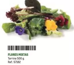 Oferta de Flores -  Mixtas en Makro