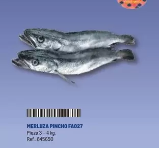 Oferta de Merluza Pincho Fa027 en Makro