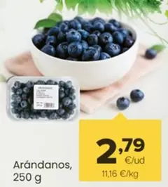 Oferta de Arandanos por 2,79€ en Autoservicios Familia