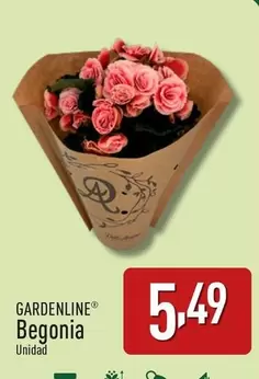 Oferta de Gardenline - Begonia por 5,49€ en ALDI