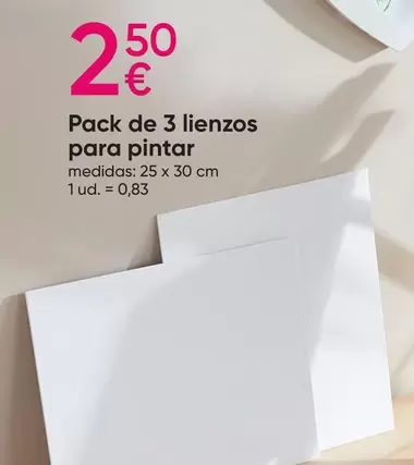 Oferta de Pack De 3 Lienzos Para Pintar por 2,5€ en Pepco