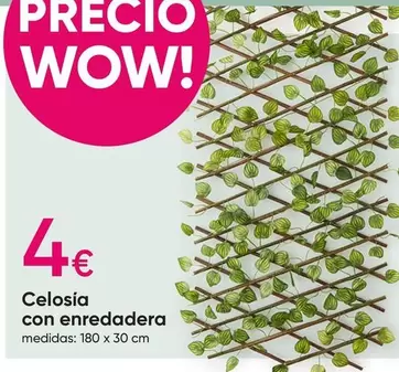 Oferta de Wow - Celosía Con Enredadora en Pepco