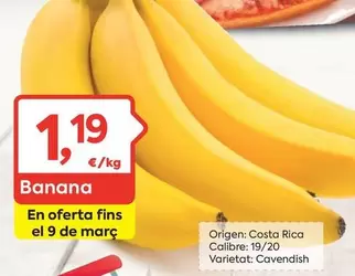 Oferta de Origen - Banana por 1,19€ en Suma Supermercados