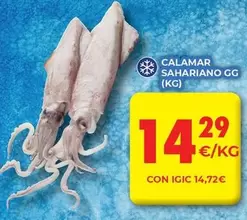 Oferta de Calamar Sahariano por 14,29€ en CashDiplo