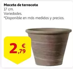 Oferta de Maceta De Terracota por 2,79€ en Alcampo