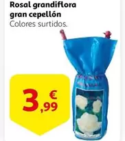 Oferta de Rosal Grandiflora Gran Cepellón  por 3,99€ en Alcampo