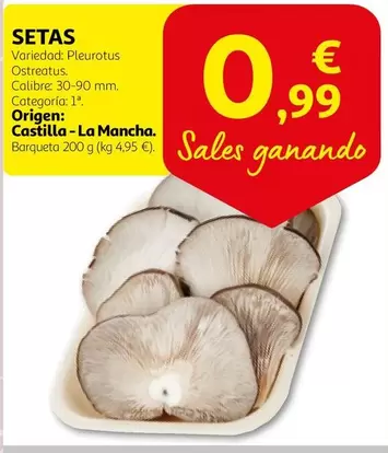 Oferta de Origen - Setas por 0,99€ en Alcampo