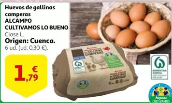 Oferta de Huevos De Gallinas Camperas por 1,79€ en Alcampo