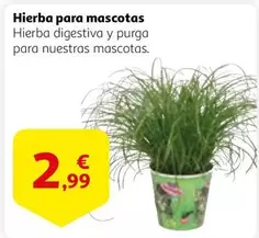 Oferta de Hierba Para Mascotas por 2,99€ en Alcampo