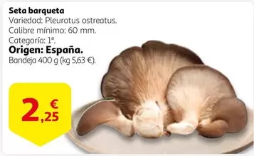 Oferta de Origen - Seta Barqueta por 2,25€ en Alcampo