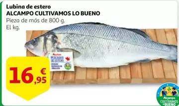 Oferta de Alcampo - Lubina De Estero por 16,95€ en Alcampo