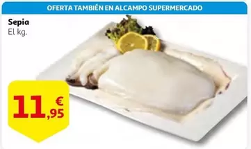 Oferta de Sepia por 11,95€ en Alcampo