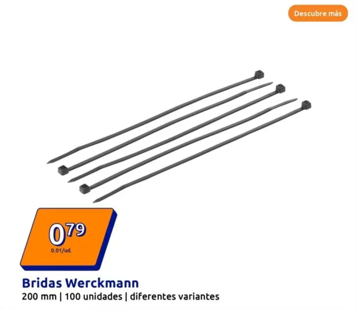 Oferta de Werckmann -bridas por 0,79€ en Action